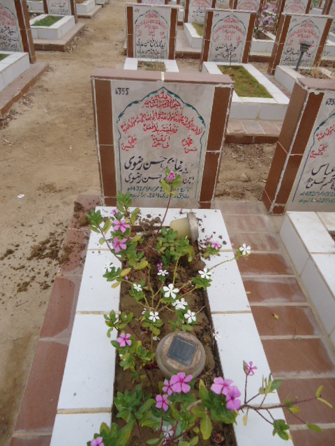 6355 – Syed Ghazi Hasan Rizvi