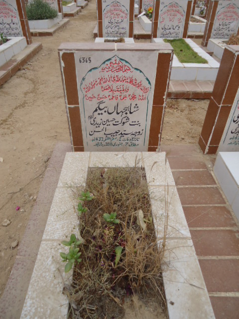 6365 – Shah Jahan Begum