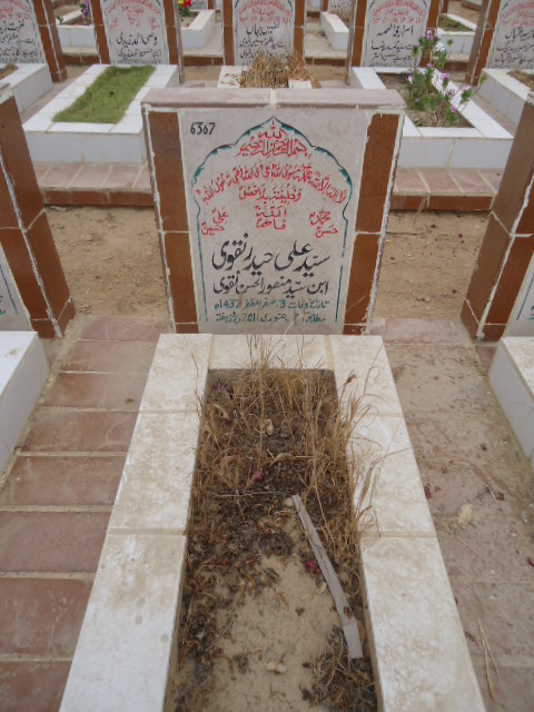 6367 – Syed Ali Haider Naqvi