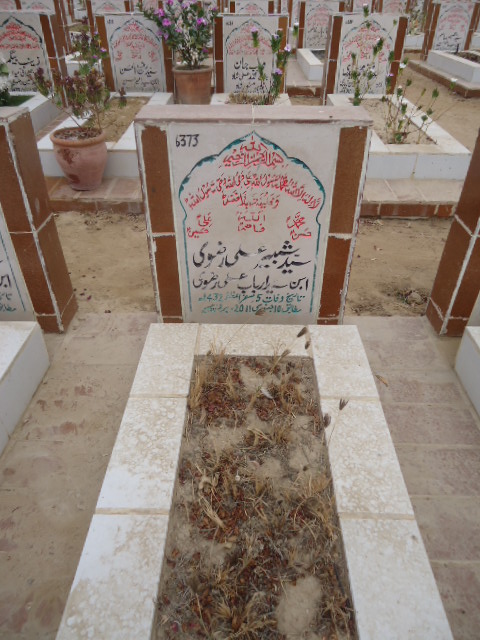 6373 – Syed Shabbir Ali Rizvi
