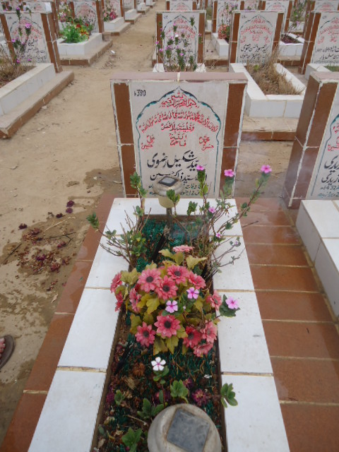 6380 – Syed Shakeel Rizvi