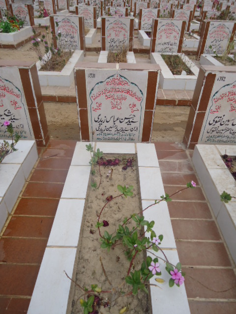 6381 – Syed Hasan Abbas Zaidi