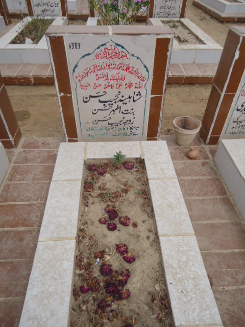 6383 – Shaheena Najeeb Hasan