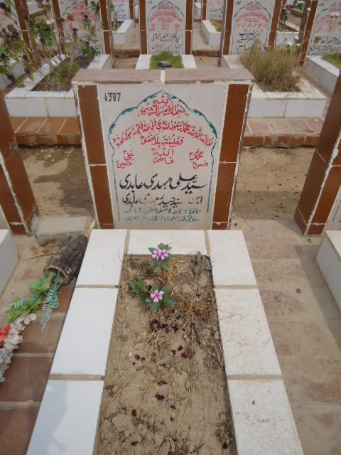 6387 – Syed Ali Mehdi Abidi