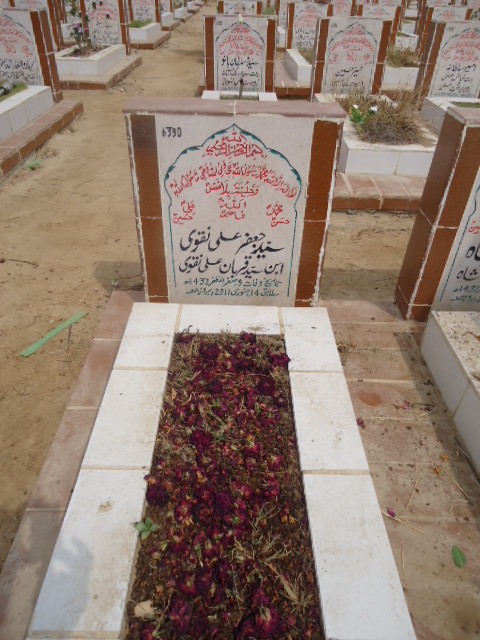 6390 – Syed Jaffar Ali Naqvi