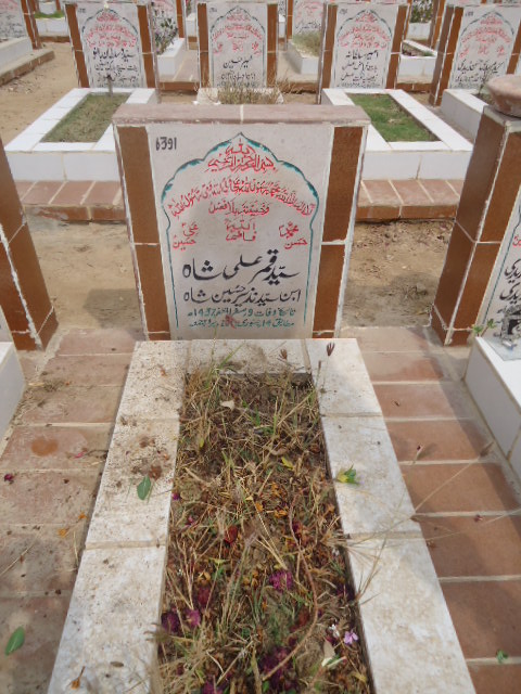 6391 – Syed Qamar Ali Shah