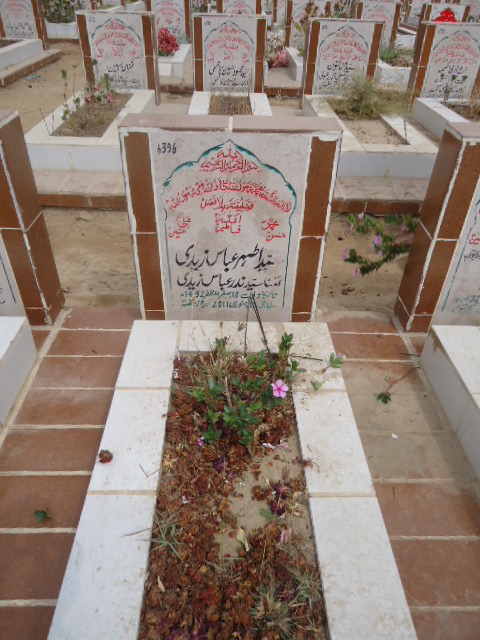 6396 – Syed Athar Abbas Zaidi