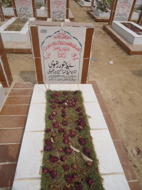 6399 – Syed Anwar Rizvi