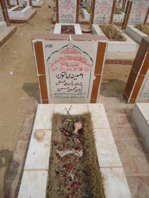 6400 – Ameena Khatoon