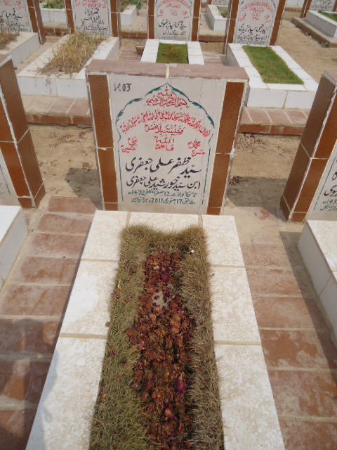 6403 – Syed Zafar Ali Jaffery