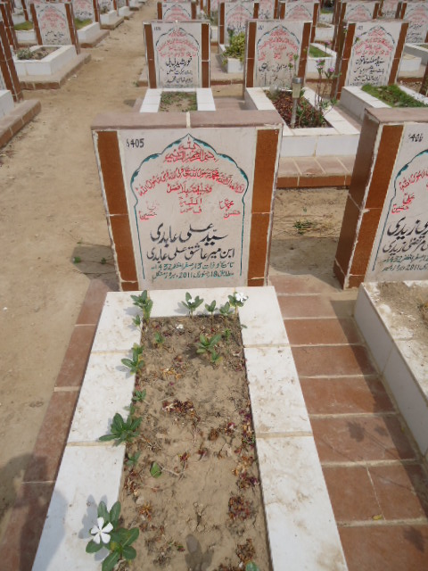 6405 – Syed Ali Abidi