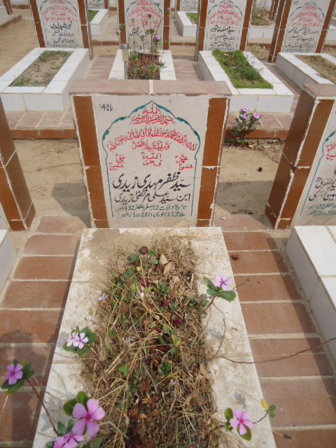 6406 – Syed Zafar Mehdi Zaidi