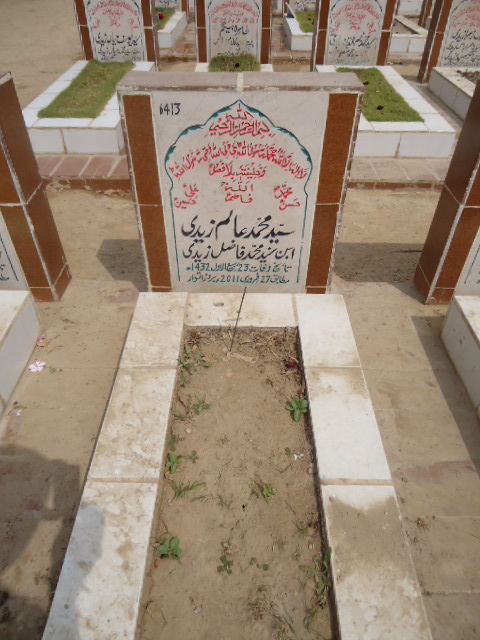 6413 – Syed Mohd Alam Zaidi