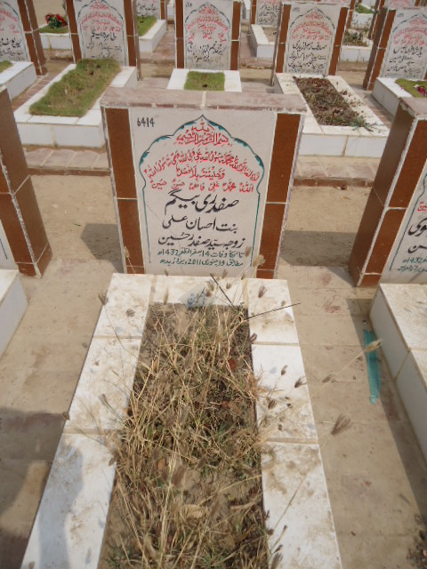 6414 – Safdari Begum