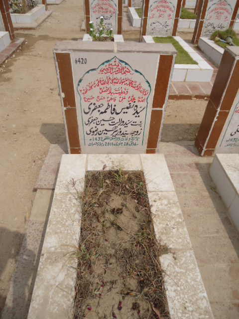 6420 – Syeda Nafees Fatima Jaffery