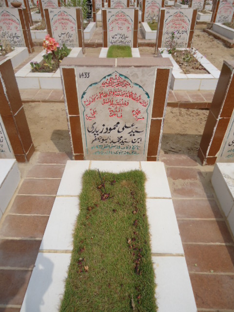 6433 – Syed Ali Mehmood Zaidi