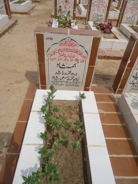 6440 – Najma Shah