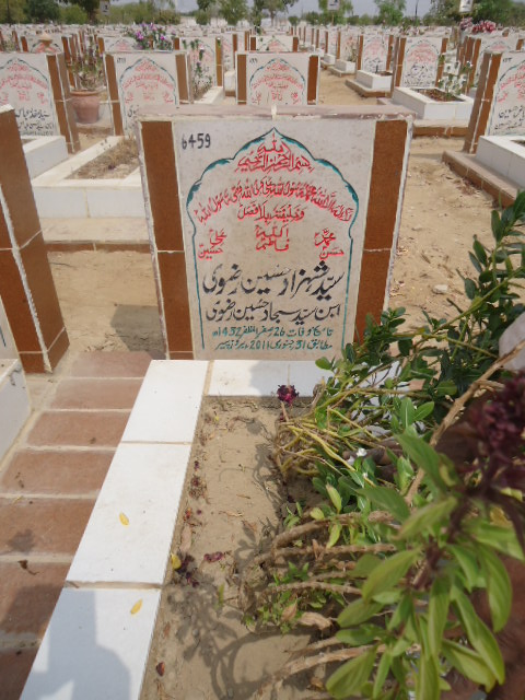 6459 – Syed Shazad Hussain Rizvi