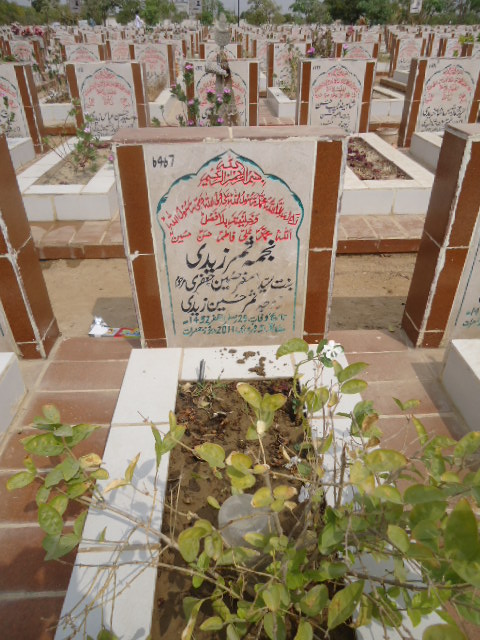 6467 – Najma Samar Zaidi