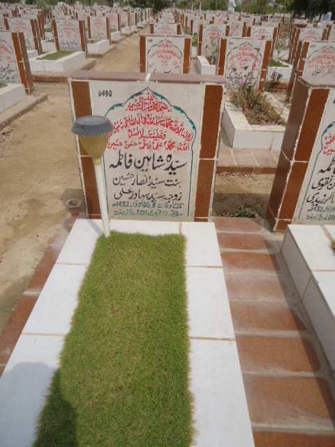 6490 – Syeda Shaheen Fatima