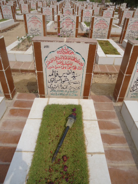 6491 – Syeda Nafees Fatima