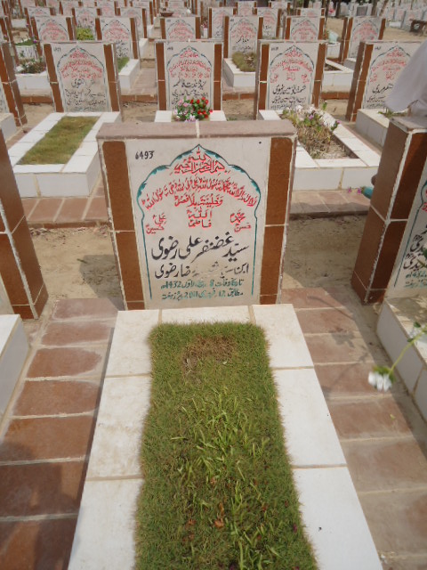 6493 – Syed Ghazanfar Ali Rizvi