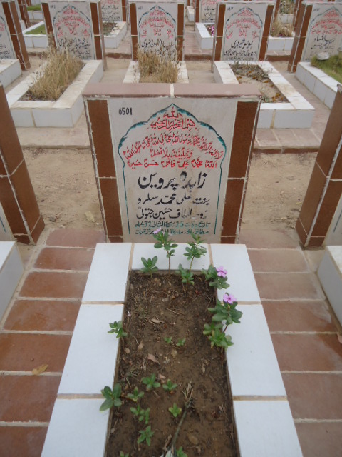 6501 – Zahida Parveen
