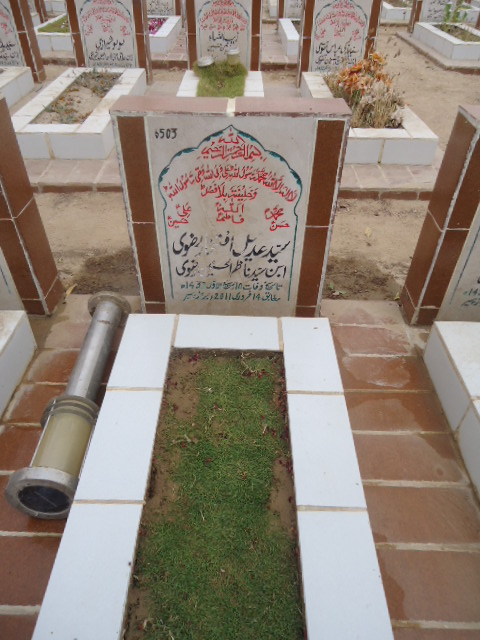 6503 – Syed Adeel Iftikhar Rizvi