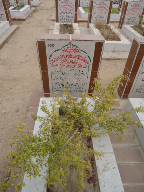 6505 – Syeda Yasmeen Rizvi