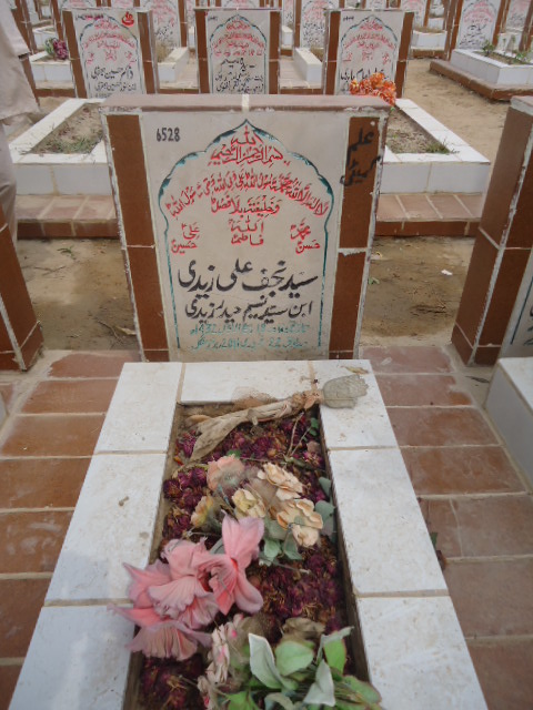 6528 – Syed Najaf Ali Zaidi