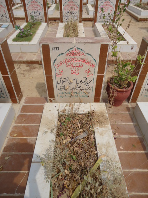 6533 – Syed Qamar Abbas Naqvi