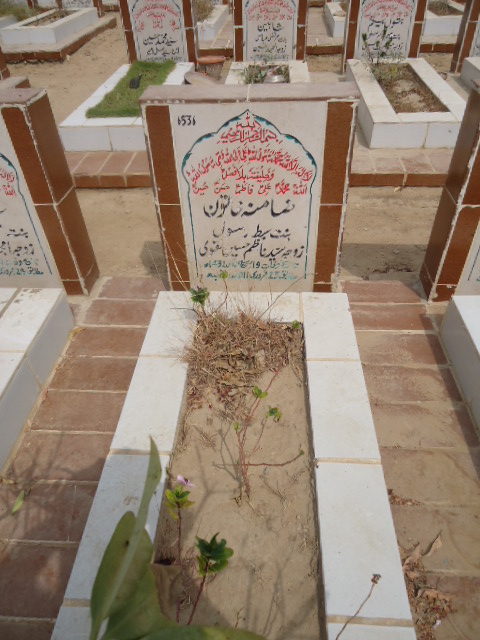 6536 – Zamina Khatoon