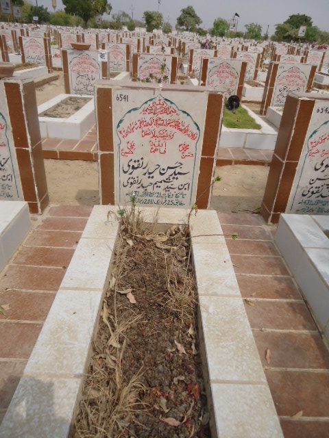 6541 – Syed Hasan Haider Naqvi