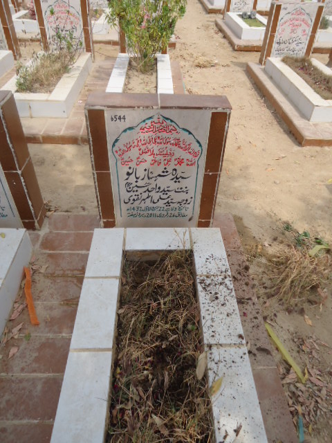 6544 – Syeda Shenaz Bano