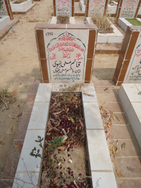6545 – Qaim Ali Rizvi