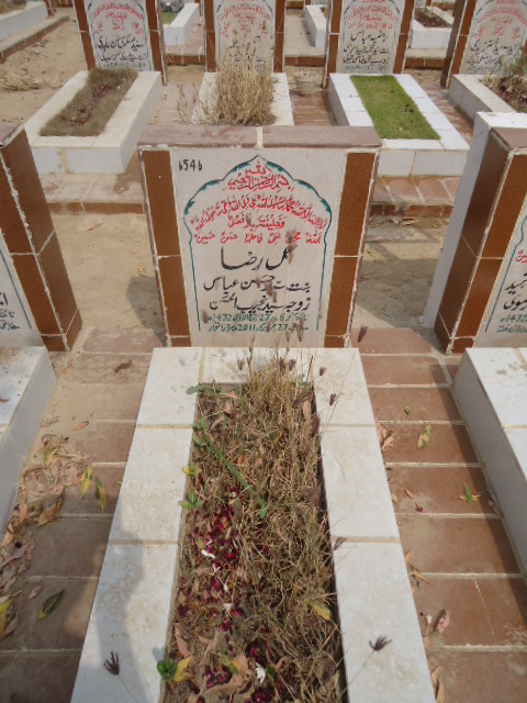 6546 – Gul Raza