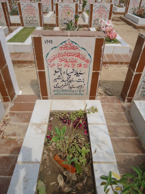 6548 – Syeda Zia Bano