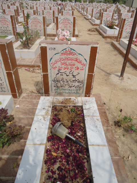 6549 – Haidery Begum