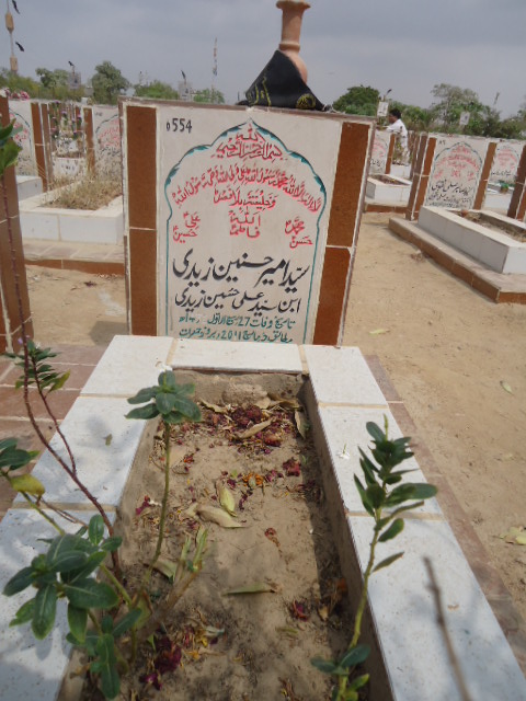 6554 – Syed Ameer Hasnain Zaidi