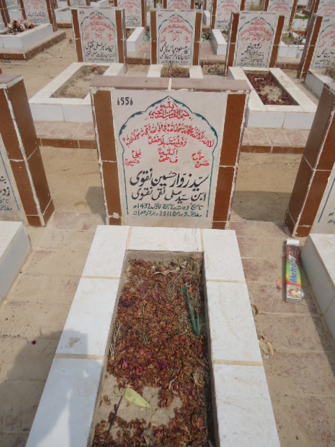 6556 – Syed Zawar Hussain Naqvi