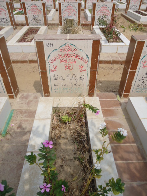 6558 – Mohd Safdar