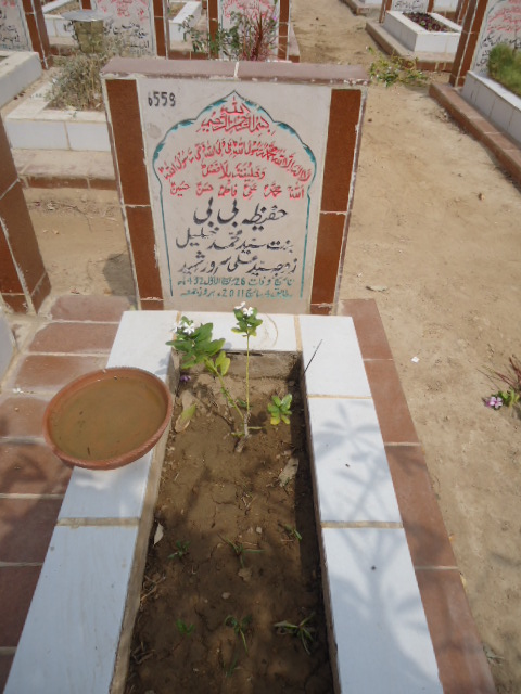 6559 – Hafiza Bibi