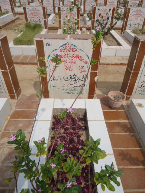 6561 – Prof Syed Sharafat Abbas