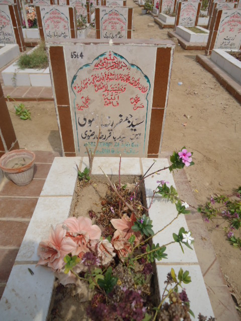 6564 – Syed Jaffar Raza Rizvi