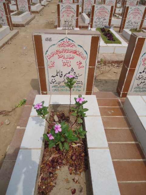 6565 – Syeda Shamim Fatima