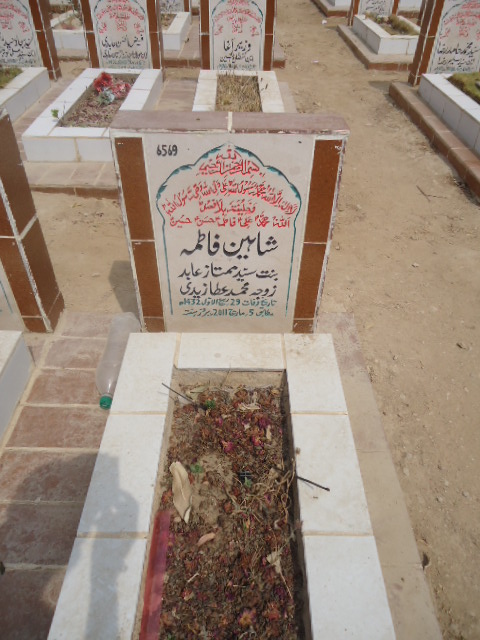 6569 – Shaheen Fatima