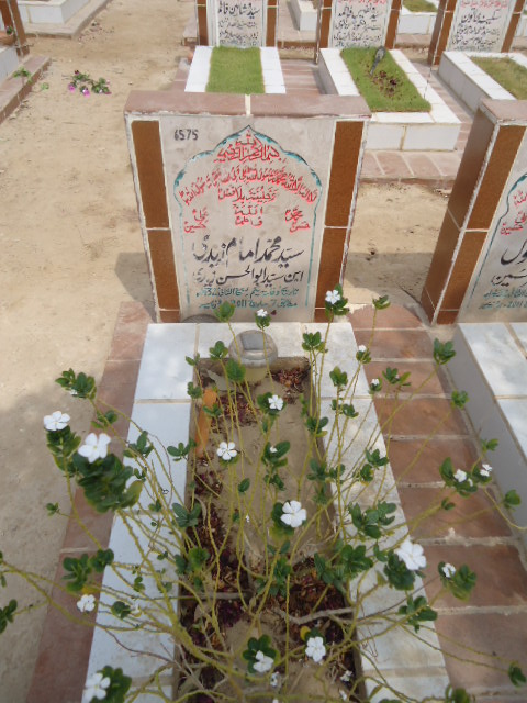 6575 – Syed Mohd Imam Zaidi