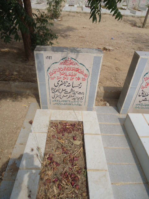 6587 – Rukhsana Jaffery