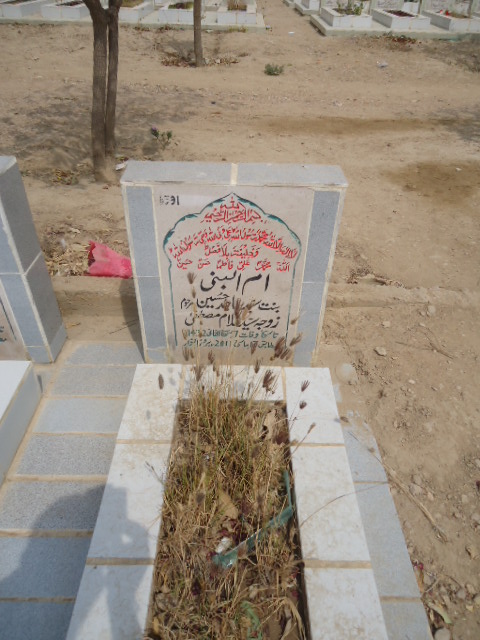 6591 – Ummul Bani