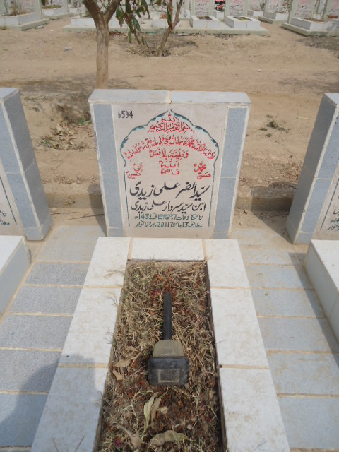 6594 – Syed Ansir Ali Zaidi